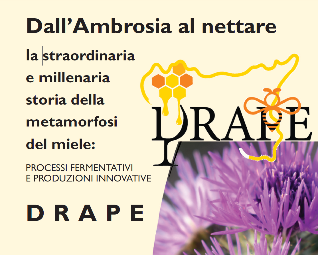 Convegno finale